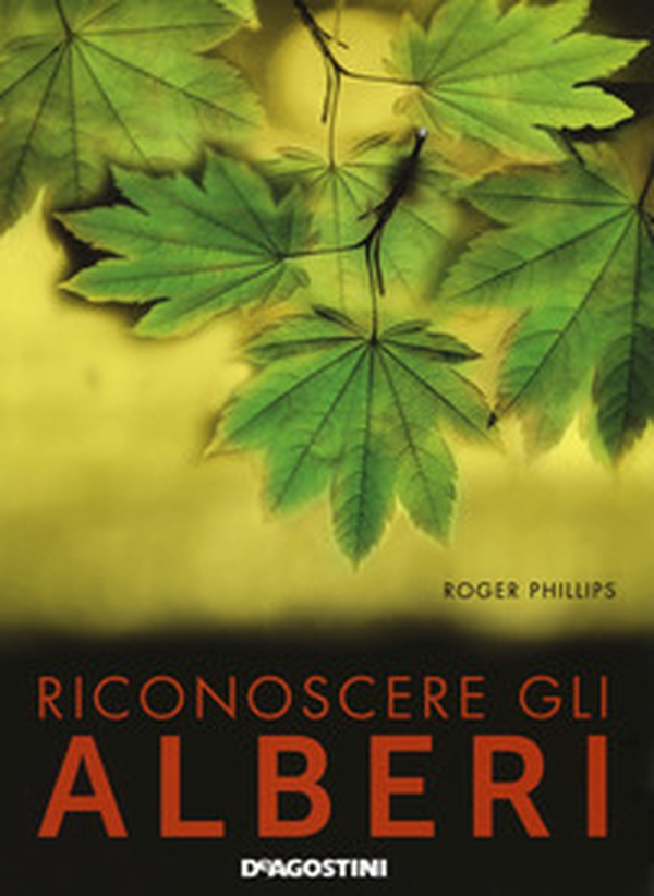 Riconoscere gli alberi - Librerie.coop Riconoscere gli alberi - Librerie.coop