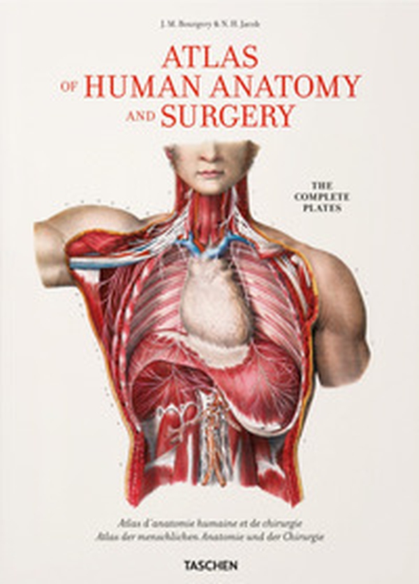 Atlas of human anatomy and surgery. Ediz. italiana, portoghese e spagnola - Librerie.coop Atlas of human anatomy and surgery. Ediz. italiana, portoghese e spagnola - Librerie.coop