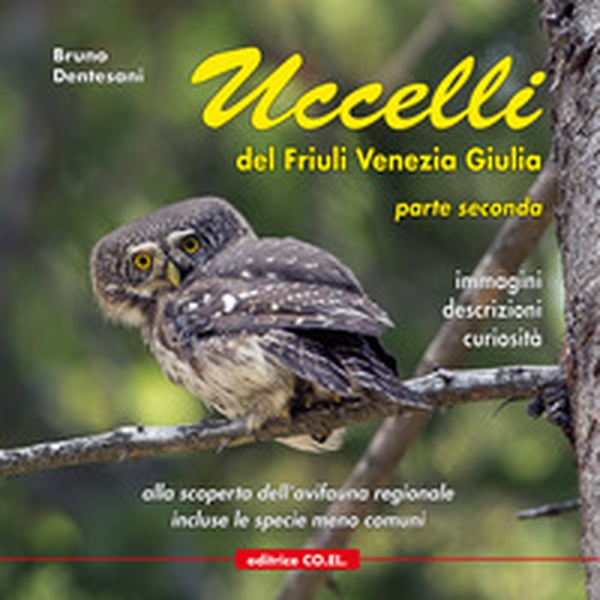 Uccelli del Friuli Venezia Giulia. Immagini, descrizioni, curiosità. Percorsi ornitologici alla scoperta dell'avifauna regionale - Vol. 2 - Librerie.coop Uccelli del Friuli Venezia Giulia. Immagini, descrizioni, curiosità. Percorsi ornitologici alla scoperta dell'avifauna regionale - Vol. 2 - Librerie.coop