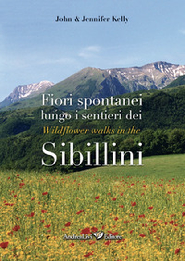 Fiori spontanei lungo i sentieri dei Sibillini-Wildflowers walks in the Sibillini - Librerie.coop Fiori spontanei lungo i sentieri dei Sibillini-Wildflowers walks in the Sibillini - Librerie.coop