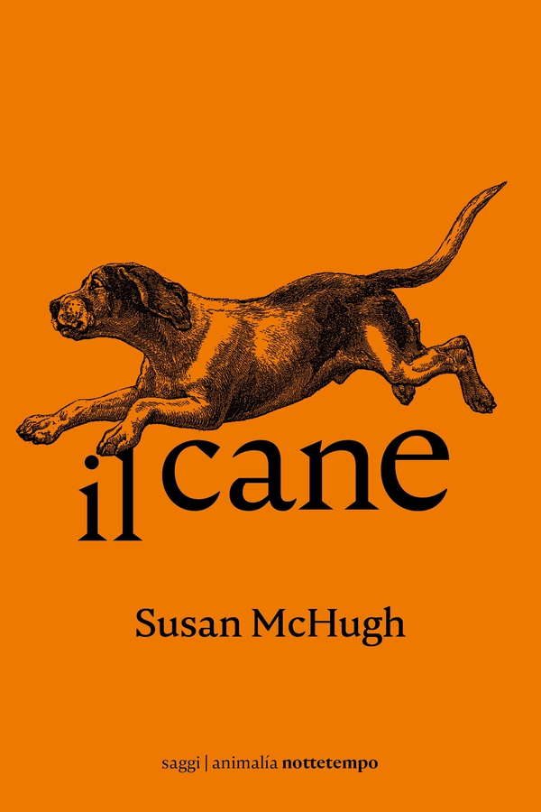 Il cane - Librerie.coop Il cane - Librerie.coop