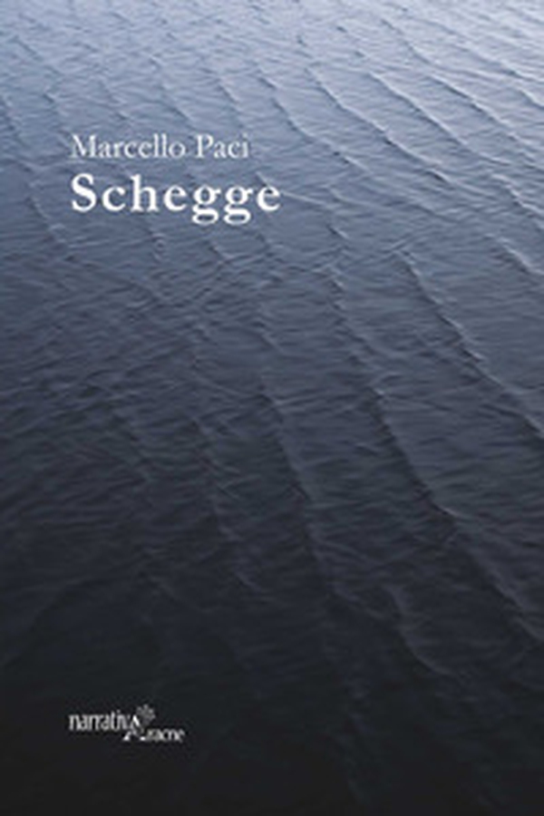 Schegge - Librerie.coop Schegge - Librerie.coop