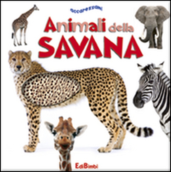 Animali della savana - Librerie.coop Animali della savana - Librerie.coop