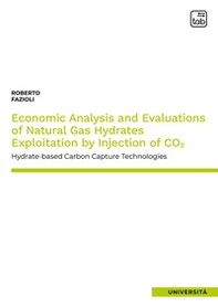 Economic analysis and evaluations of natural gas hydrates exploitation by injection of CO2. Hydrate-based carbon capture technologies - Librerie.coop