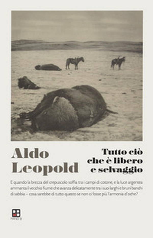 Tutto ciò che è libero e selvaggio - Librerie.coop Tutto ciò che è libero e selvaggio - Librerie.coop