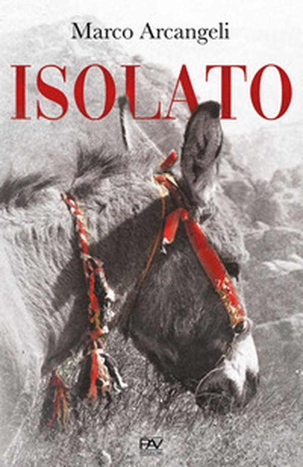 Isolato - Librerie.coop Isolato - Librerie.coop