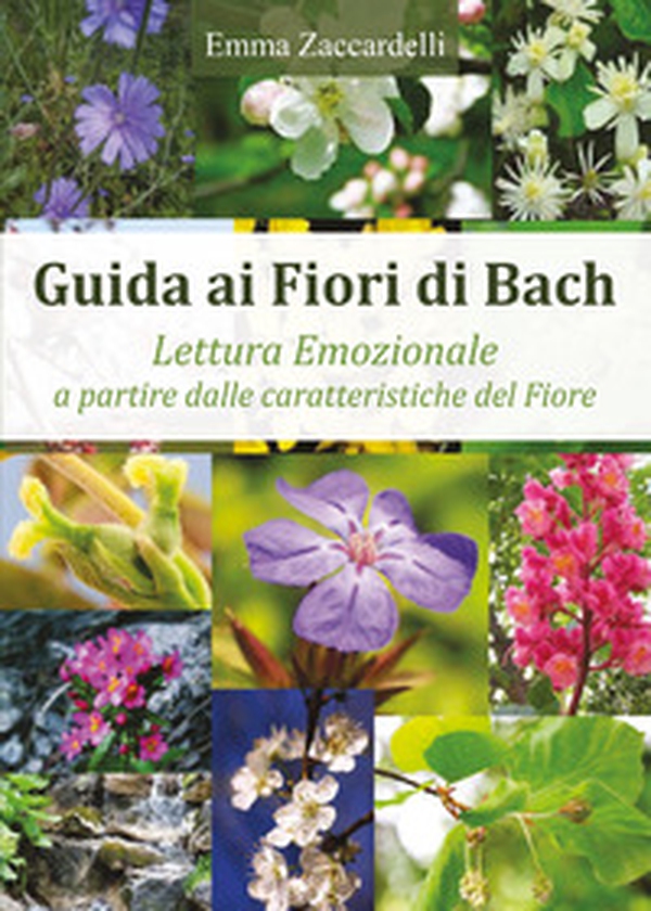 Guida ai fiori di Bach. Lettura emozionale a partire dalle caratteristiche del fiore - Librerie.coop Guida ai fiori di Bach. Lettura emozionale a partire dalle caratteristiche del fiore - Librerie.coop