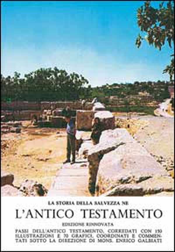 La storia della salvezza ne l'Antico Testamento - Librerie.coop La storia della salvezza ne l'Antico Testamento - Librerie.coop