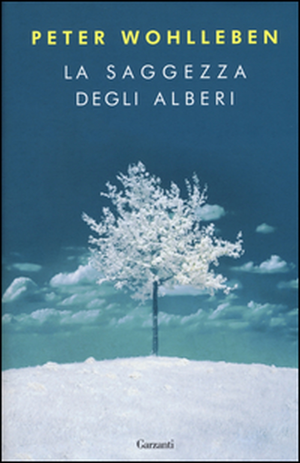 La saggezza degli alberi - Librerie.coop La saggezza degli alberi - Librerie.coop