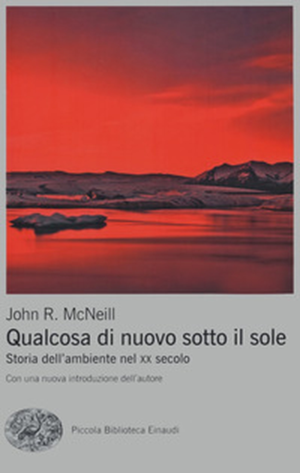 Qualcosa di nuovo sotto il sole. Storia dell'ambiente nel XX secolo - Librerie.coop Qualcosa di nuovo sotto il sole. Storia dell'ambiente nel XX secolo - Librerie.coop