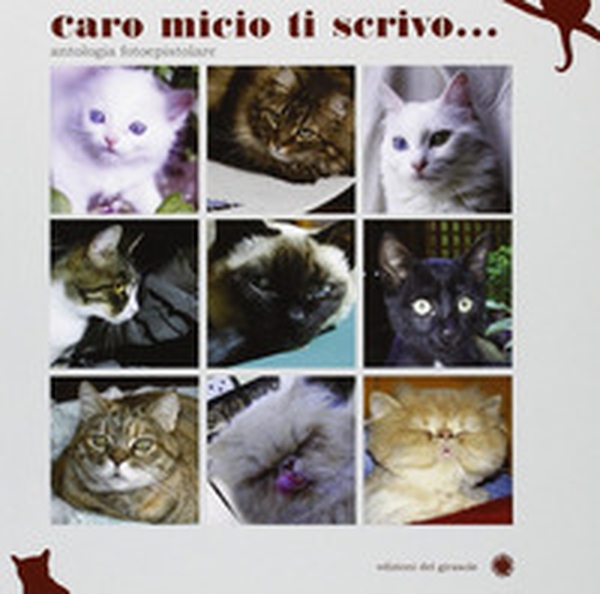 Caro micio ti scrivo... - Librerie.coop Caro micio ti scrivo... - Librerie.coop