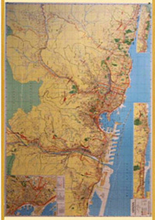 Genova con codici postali. Carta geografica stradale con aree codici postali (carta murale plastificata) - Librerie.coop Genova con codici postali. Carta geografica stradale con aree codici postali (carta murale plastificata) - Librerie.coop