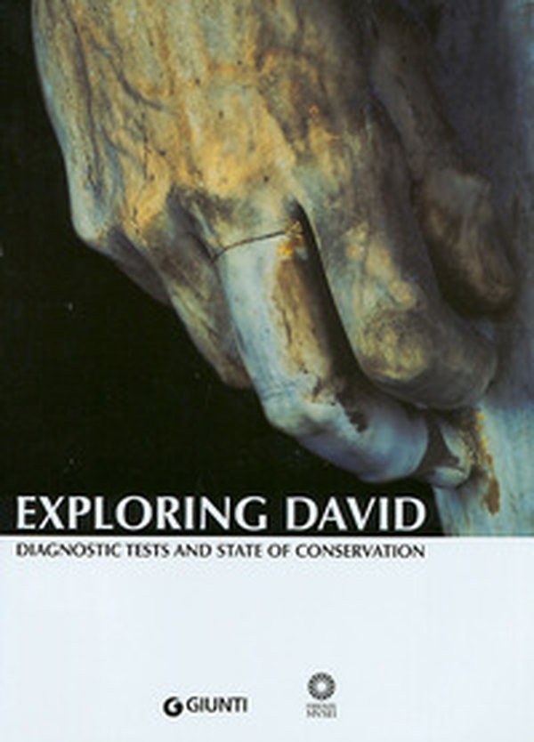 Exploring David. Diagnostic tests and state of conservation - Librerie.coop Exploring David. Diagnostic tests and state of conservation - Librerie.coop