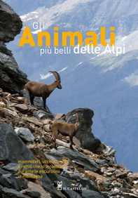 Gli animali più belli delle Alpi. Mammiferi, uccelli, anfibi e rettili che si incontrano durante le escursioni in montagna - Librerie.coop