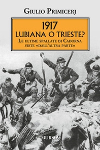 1917 Lubiana o Trieste? Le ultime spallate di Cadorna viste «dall'altra parte» - Librerie.coop